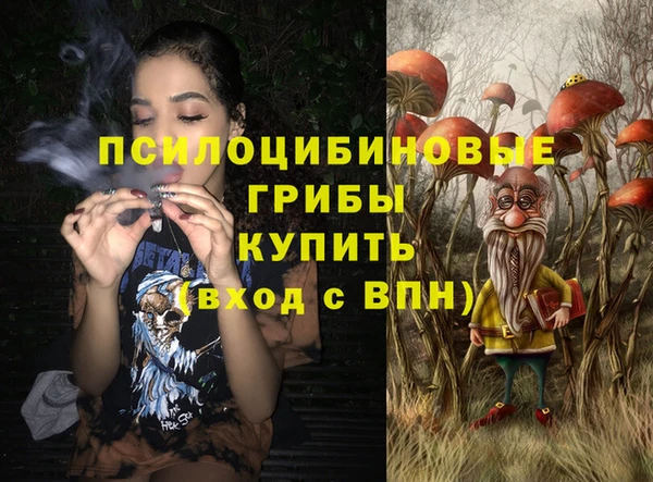 ECSTASY Алексин